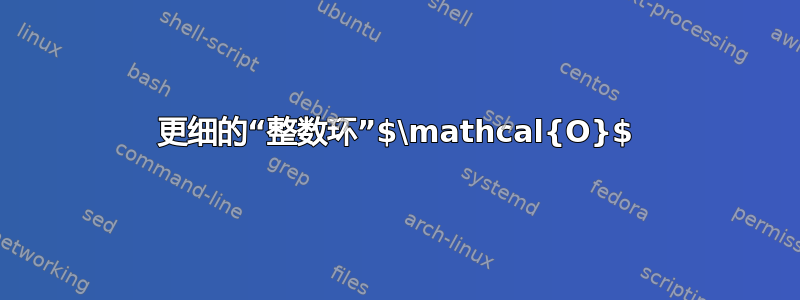 更细的“整数环”$\mathcal{O}$