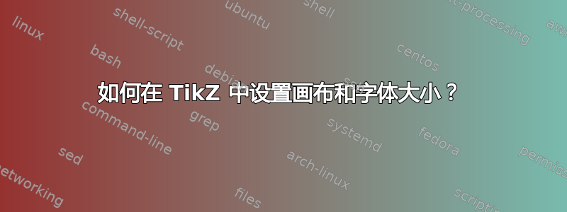 如何在 TikZ 中设置画布和字体大小？