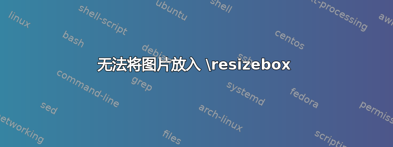 无法将图片放入 \resizebox