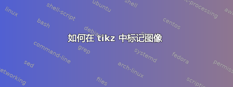 如何在 tikz 中标记图像