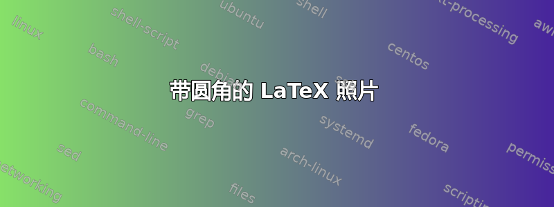 带圆角的 LaTeX 照片