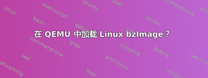 在 QEMU 中加载 Linux bzImage？