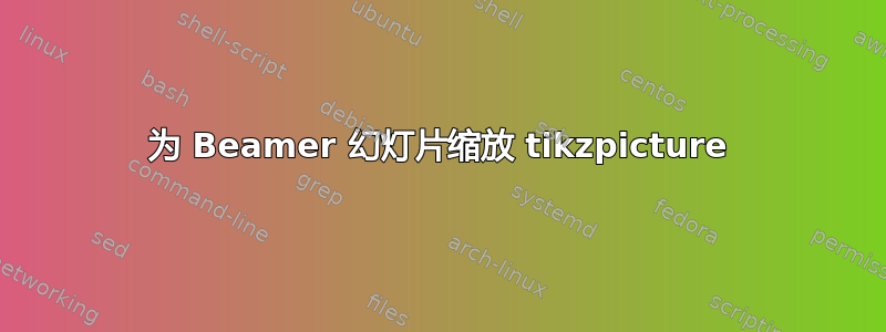 为 Beamer 幻灯片缩放 tikzpicture