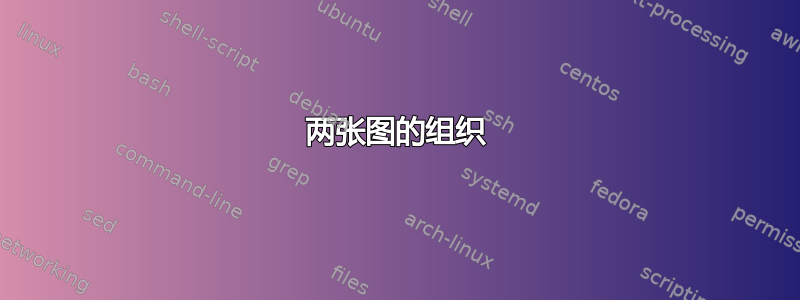 两张图的组织