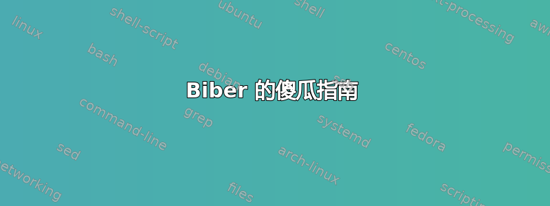 Biber 的傻瓜指南