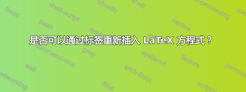 是否可以通过标签重新插入 LaTeX 方程式？