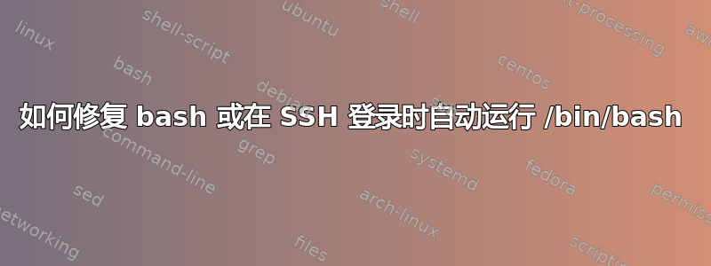 如何修复 bash 或在 SSH 登录时自动运行 /bin/bash