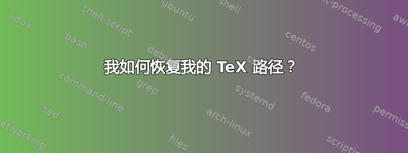 我如何恢复我的 TeX 路径？