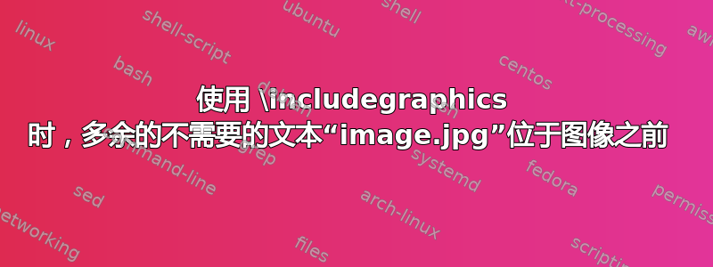 使用 \includegraphics 时，多余的不需要的文本“image.jpg”位于图像之前 