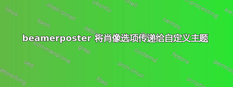 beamerposter 将肖像选项传递给自定义主题