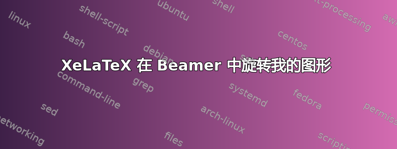 XeLaTeX 在 Beamer 中旋转我的图形