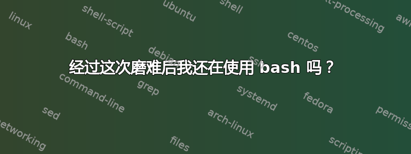 经过这次磨难后我还在使用 bash 吗？