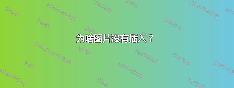 为啥图片没有插入？