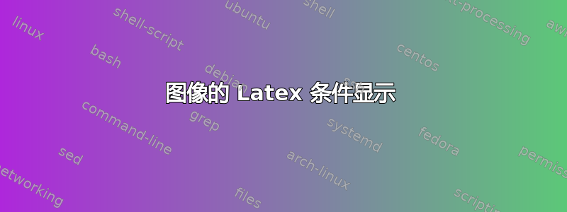 图像的 Latex 条件显示