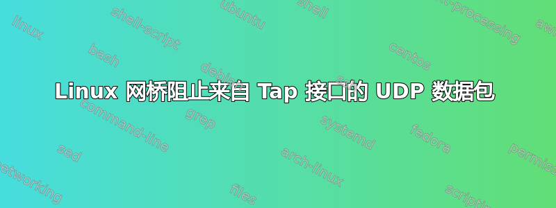 Linux 网桥阻止来自 Tap 接口的 UDP 数据包