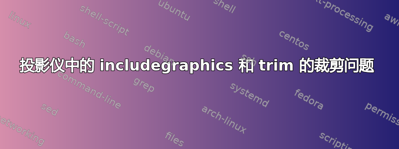 投影仪中的 includegraphics 和 trim 的裁剪问题