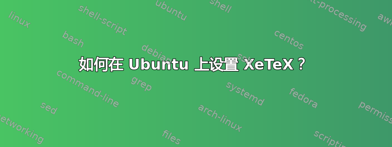 如何在 Ubuntu 上设置 XeTeX？