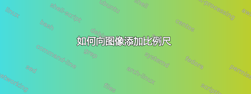 如何向图像添加比例尺