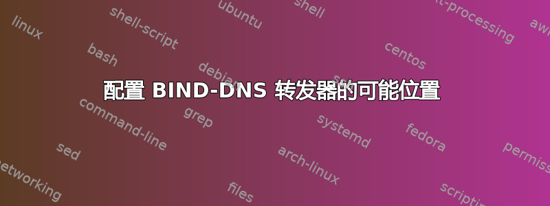 配置 BIND-DNS 转发器的可能位置