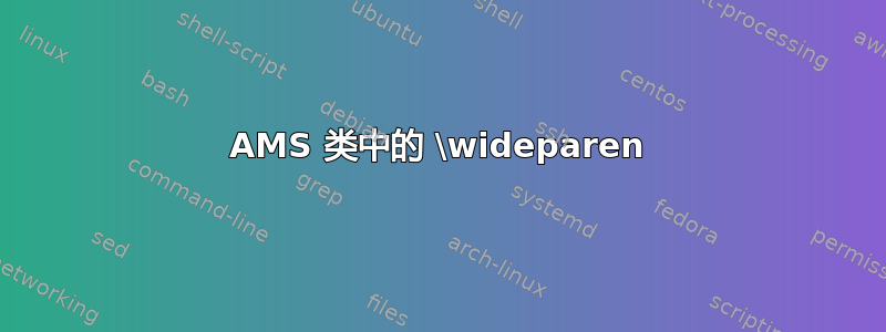 AMS 类中的 \wideparen