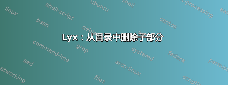 Lyx：从目录中删除子部分