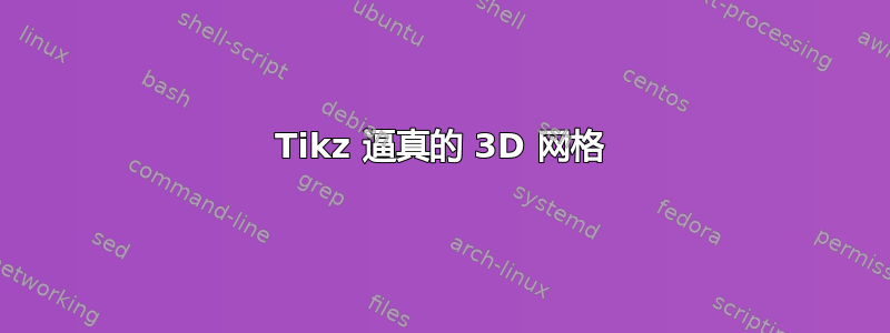 Tikz 逼真的 3D 网格