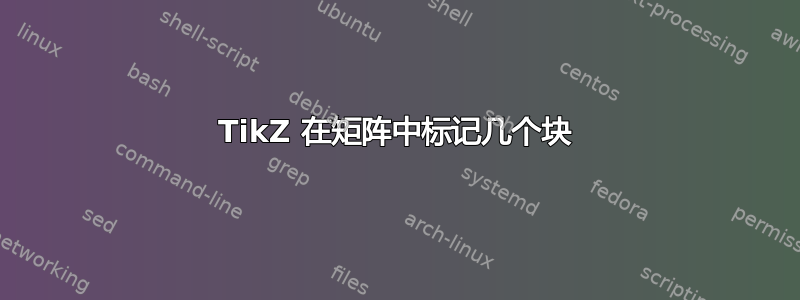 TikZ 在矩阵中标记几个块