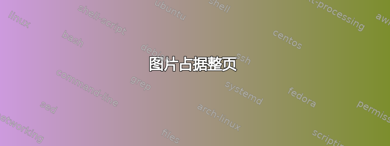 图片占据整页