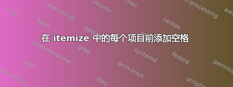 在 itemize 中的每个项目前添加空格