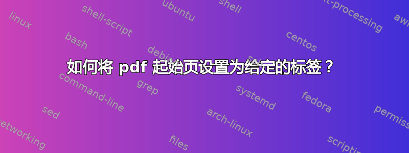 如何将 pdf 起始页设置为给定的标签？