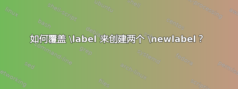 如何覆盖 \label 来创建两个 \newlabel？