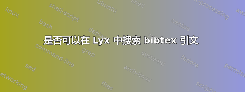 是否可以在 Lyx 中搜索 bibtex 引文