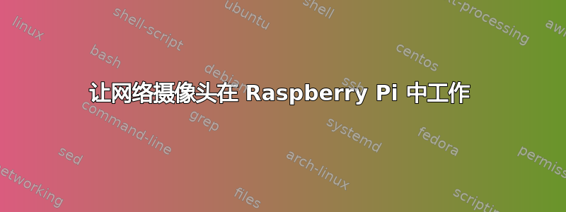 让网络摄像头在 Raspberry Pi 中工作