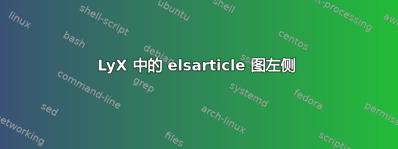 LyX 中的 elsarticle 图左侧