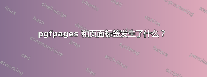 pgfpages 和页面标签发生了什么？