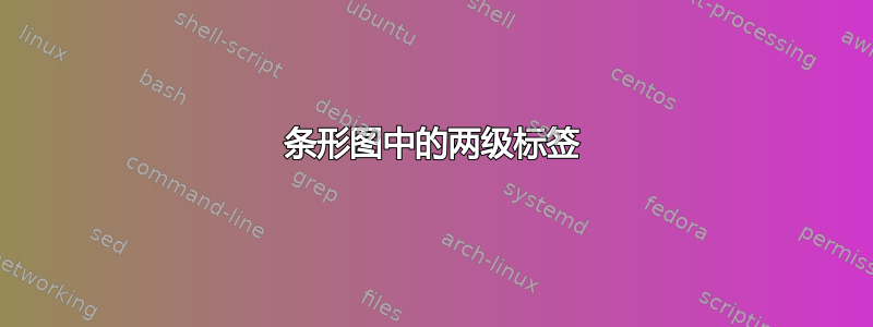 条形图中的两级标签