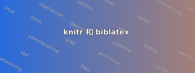 knitr 和 biblatex