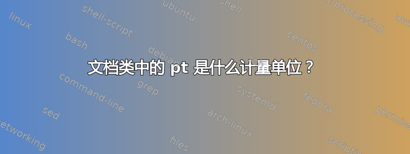 文档类中的 pt 是什么计量单位？