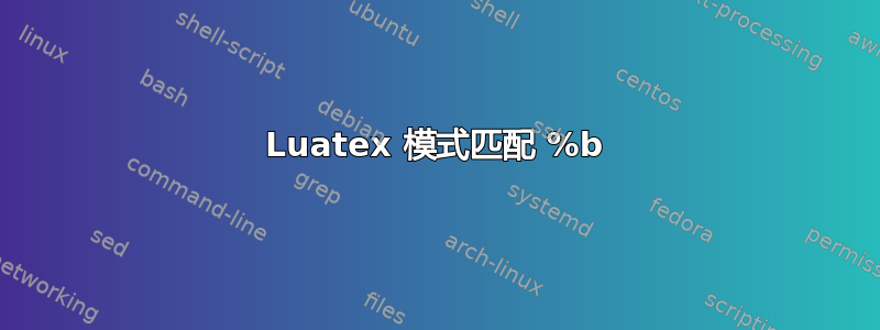 Luatex 模式匹配 %b