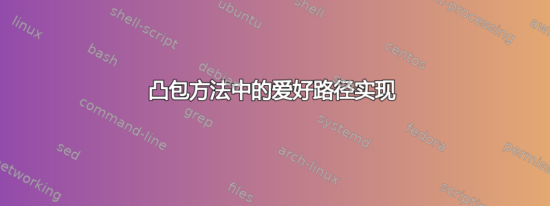 凸包方法中的爱好路径实现