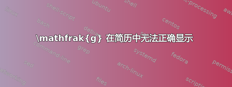 \mathfrak{g} 在简历中无法正确显示