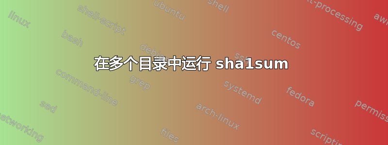 在多个目录中运行 sha1sum