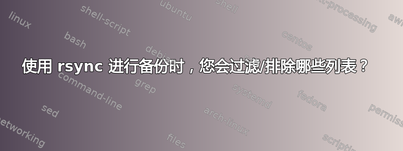 使用 rsync 进行备份时，您会过滤/排除哪些列表？ 