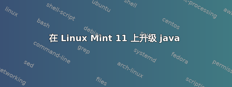 在 Linux Mint 11 上升级 java