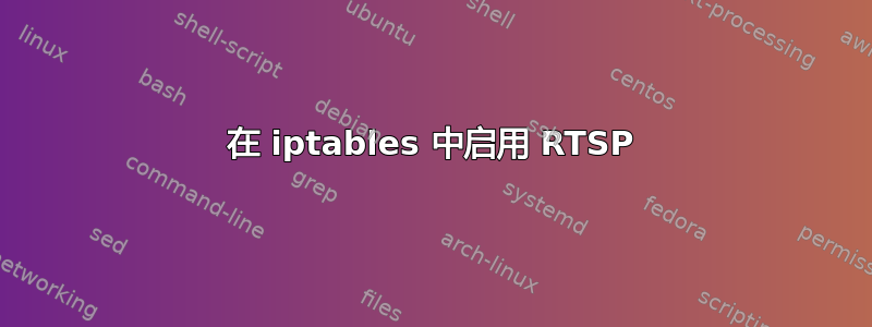 在 iptables 中启用 RTSP