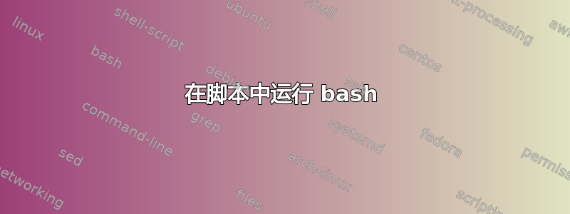 在脚本中运行 bash