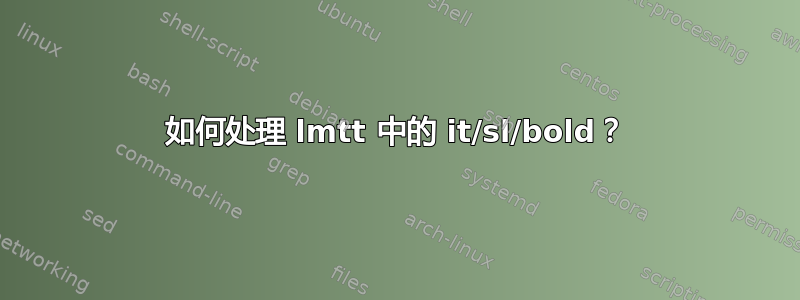 如何处理 lmtt 中的 it/sl/bold？