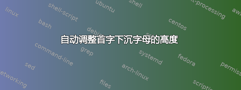 自动调整首字下沉字母的高度