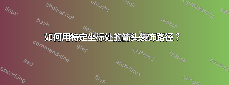 如何用特定坐标处的箭头装饰路径？