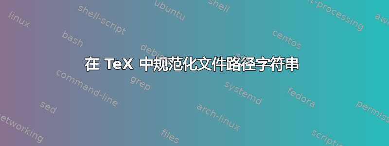 在 TeX 中规范化文件路径字符串